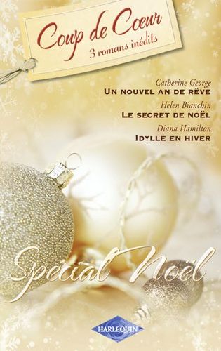 Un nouvel an de rêve ; le secret de Noël ; idylle en hiver