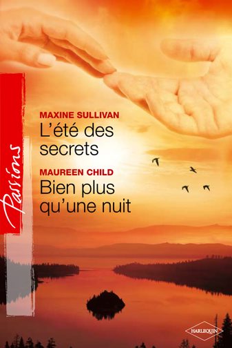 L'été des secrets ; bien plus qu'une nuit