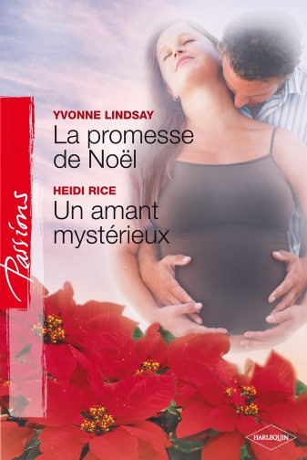 La promesse de Noël ; un amant mystérieux