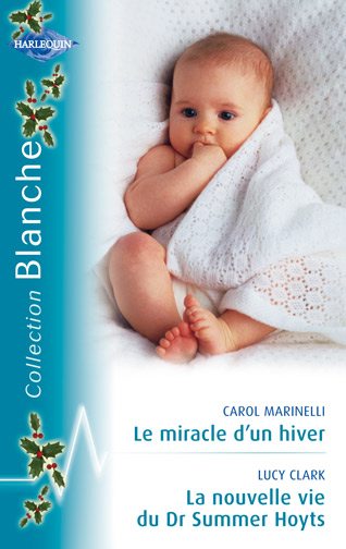 Le miracle d'un hiver ; la nouvelle vie du Dr Summer Hoyts