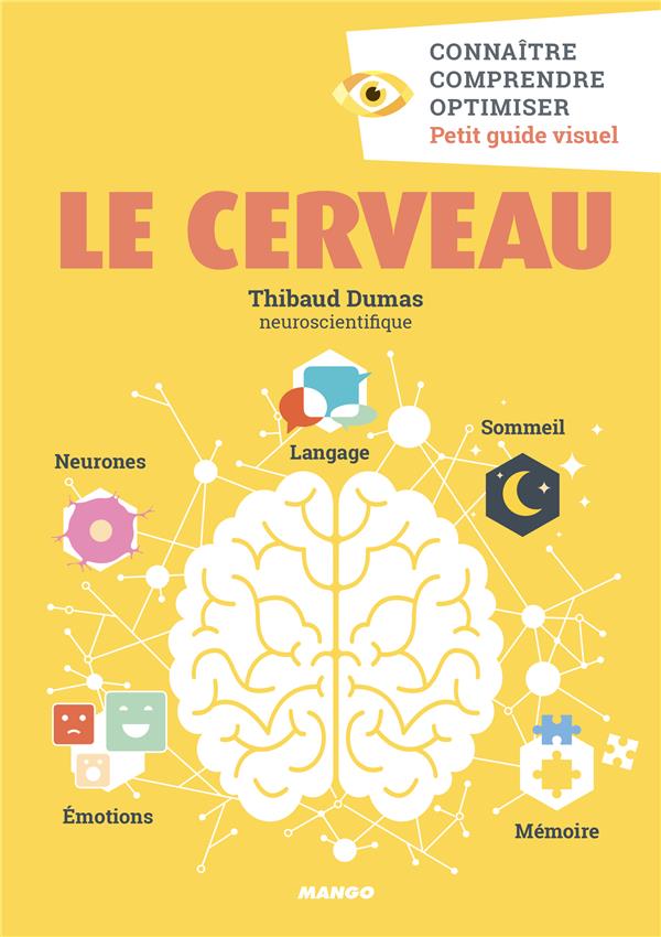 Le cerveau - flash vidéo
