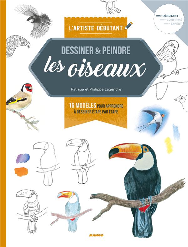 Dessiner & peindre les oiseaux ; 16 modèles pour apprendre à dessiner étape par étape - flash vidéo