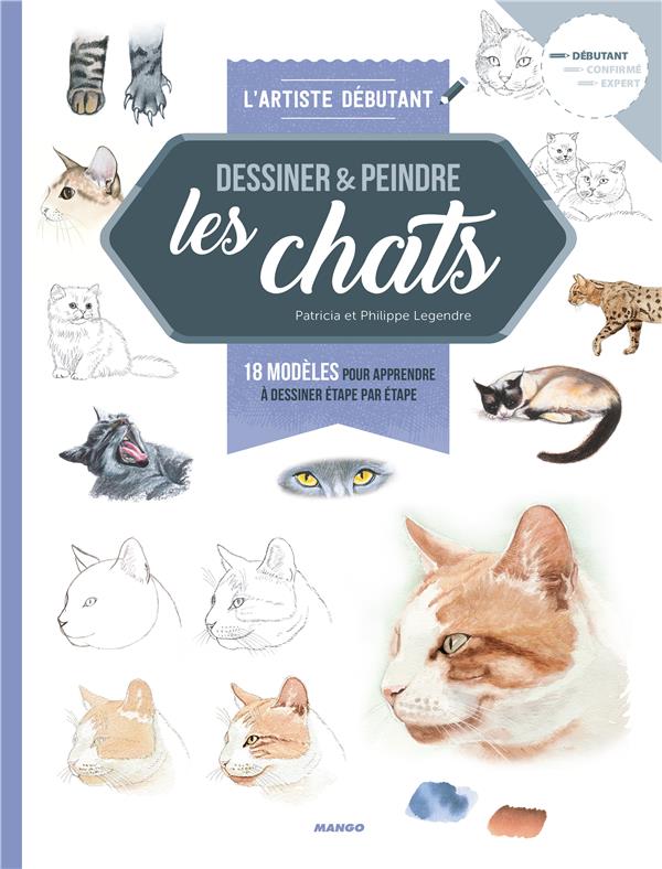 Dessiner & peindre les chats - flash vidéo