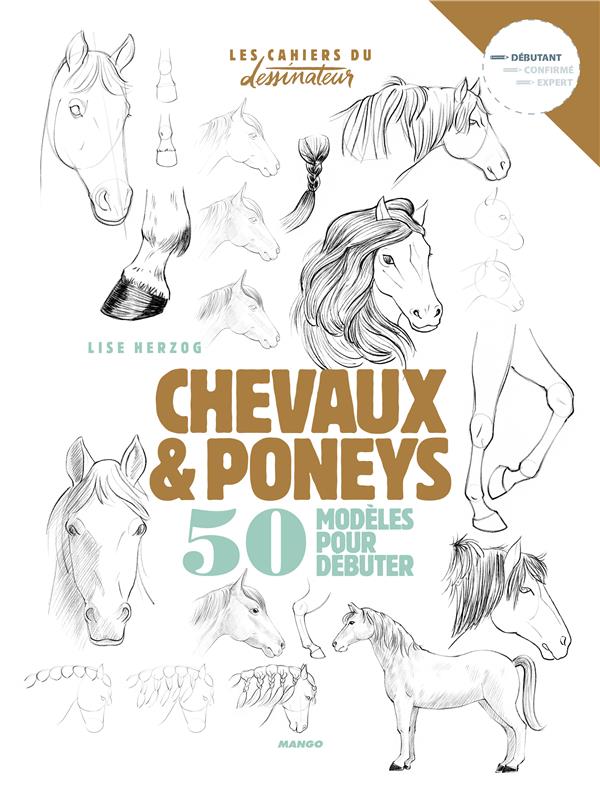 Chevaux et poneys ; 50 modèles pour débuter