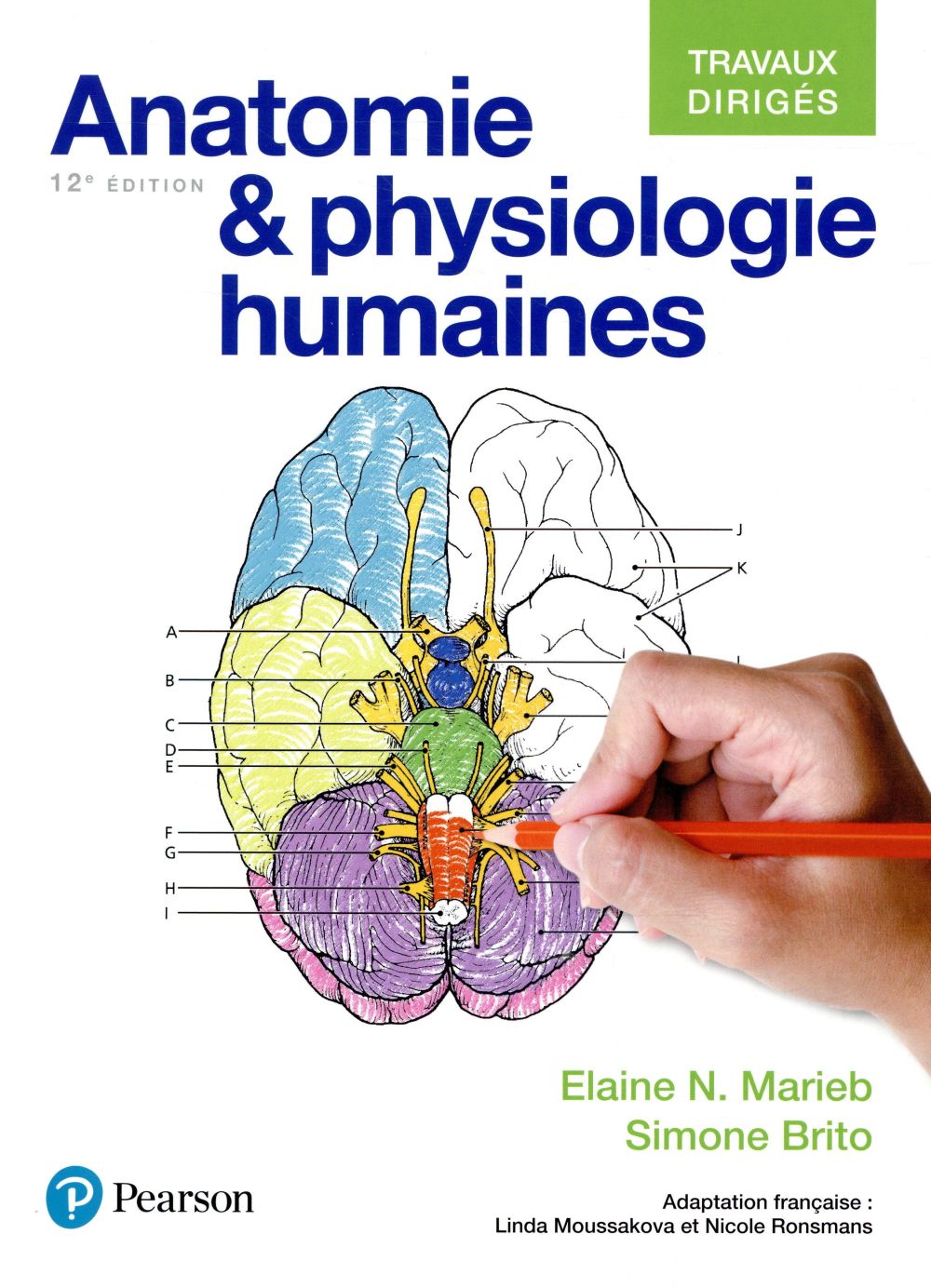 Anatomie & physiologie humaines : travaux dirigés (12e édition)