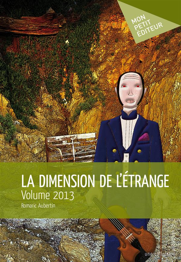 La dimension de l'étrange ; volume 2013