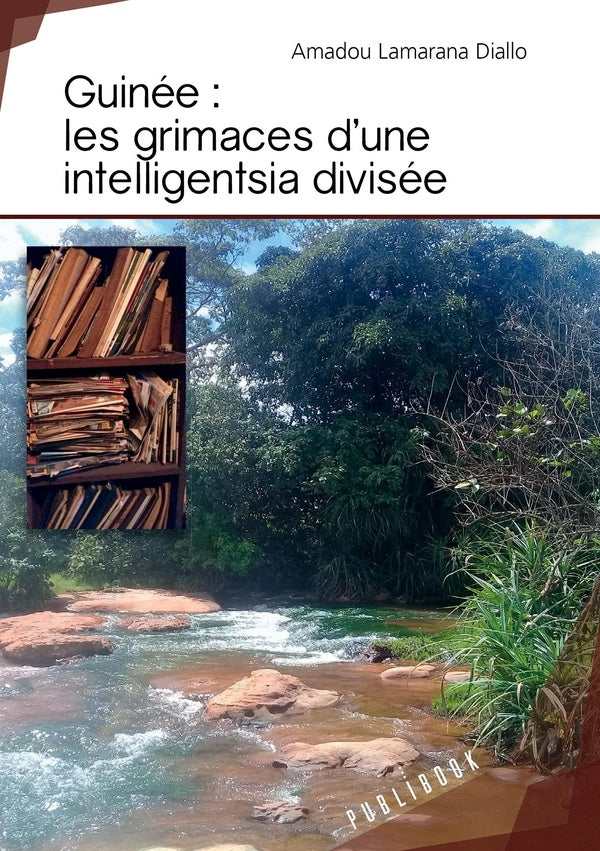Guinée ; les grimaces d'une intelligentsia divisée