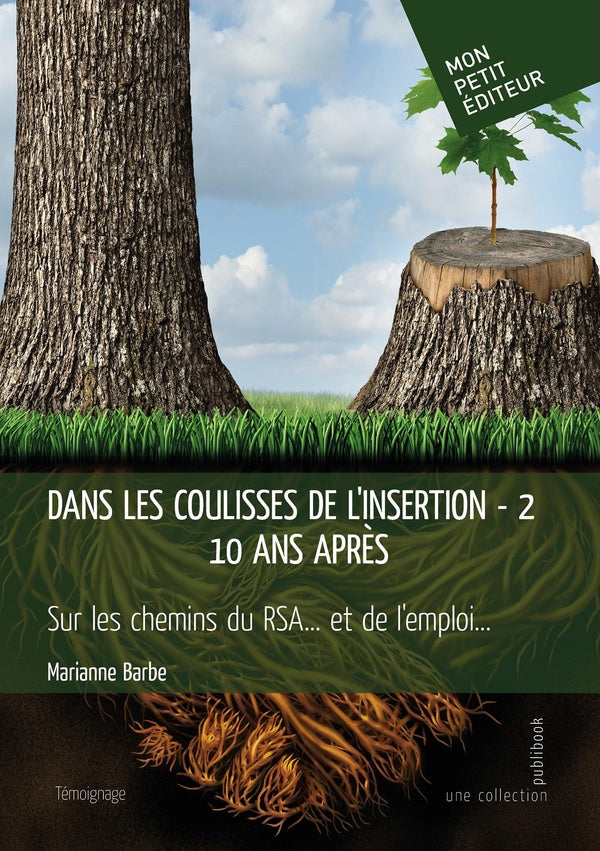 Dans les coulisses de l'insertion Tome 2 : 10 ans après