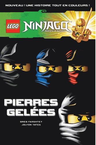 Lego Ninjago - masters of Spinjitzu : pierres gelées
