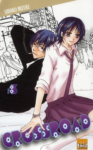 Crossroad Tome 3 - flash vidéo