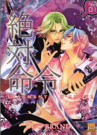 Fragments d'amour Tome 2 - flash vidéo