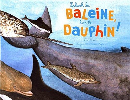 Splash la baleine ! hop le dauphin ! les cétacés - flash vidéo