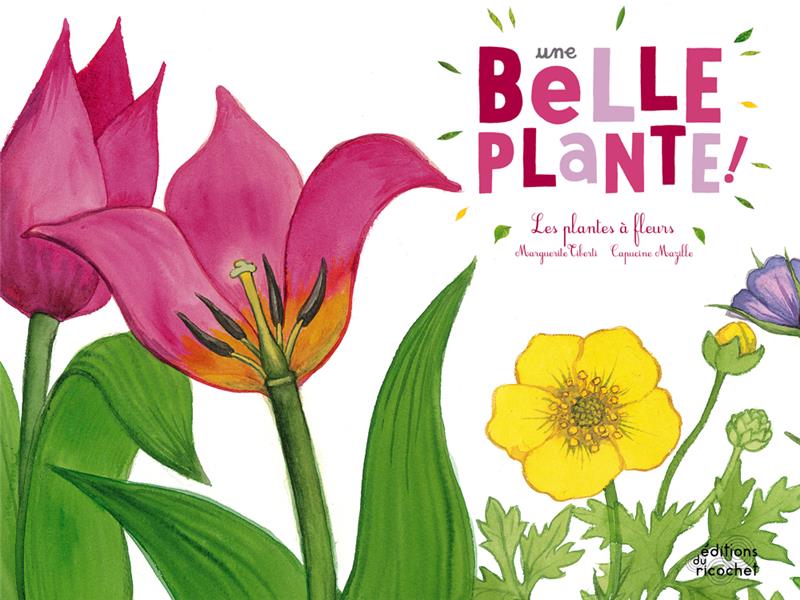 Une belle plante ! les plantes à fleurs - flash vidéo