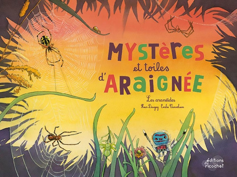 Mystères et toiles d'araignée ! les aranéides - flash vidéo