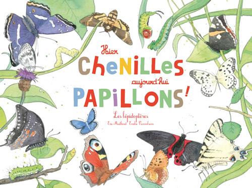 Hier chenilles, aujourd'hui papillons ! - flash vidéo