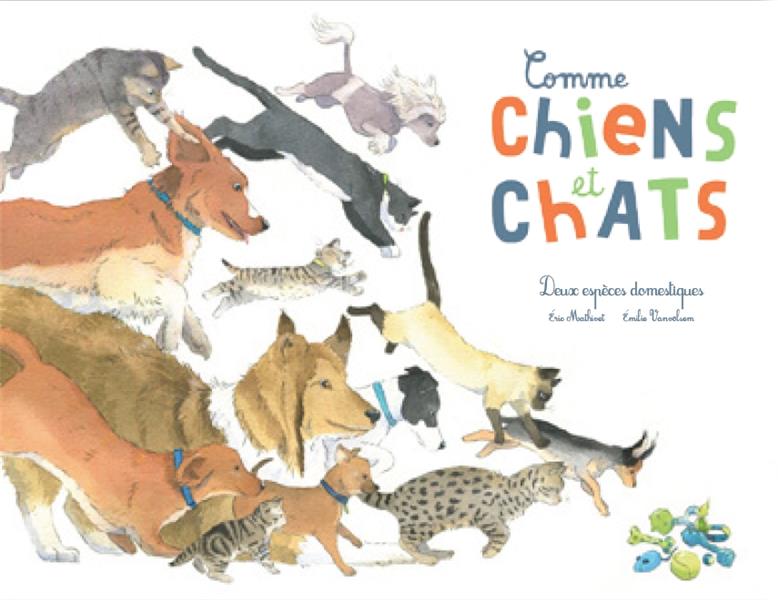 Comme chiens et chats ; deux espèces domestiques - flash vidéo