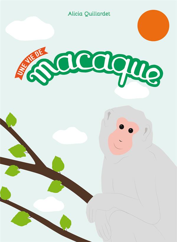 Une vie de macaque - flash vidéo