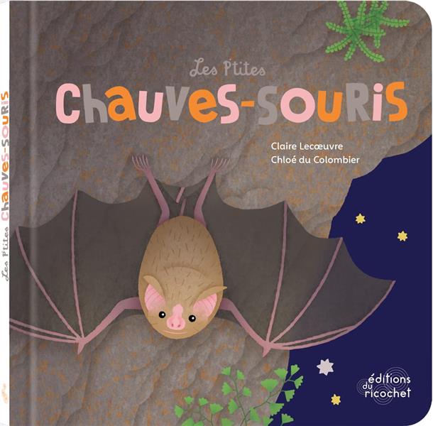Les p'tites chauves-souris - flash vidéo