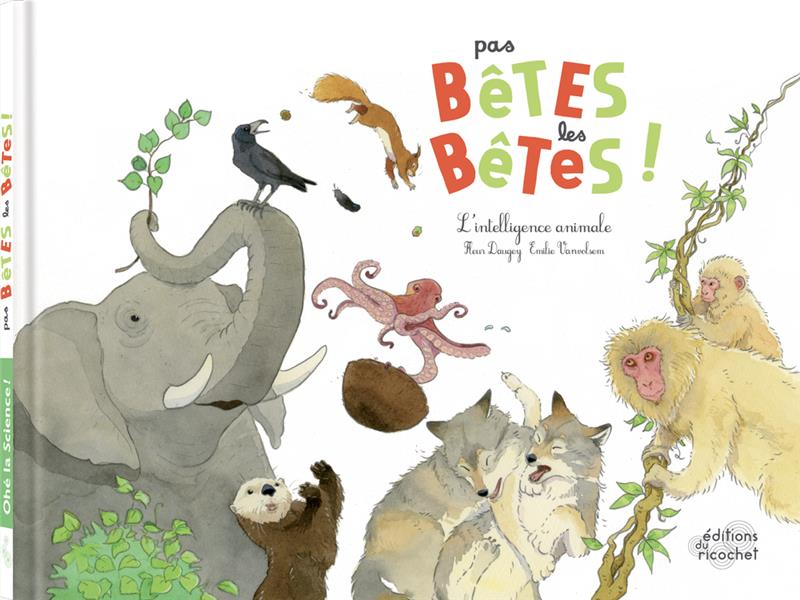 Pas bêtes les bêtes ! l'intelligence animale - flash vidéo