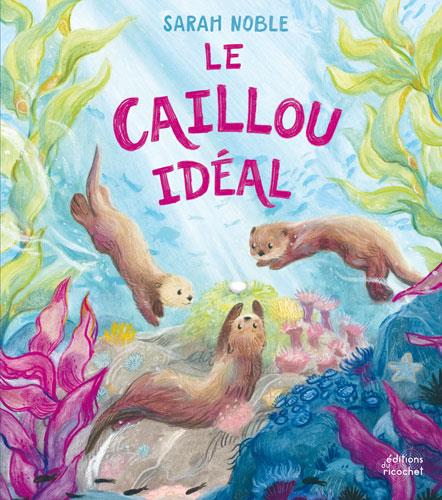 Le caillou idéal - flash vidéo