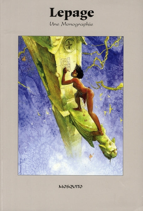 Une monographie - flash vidéo