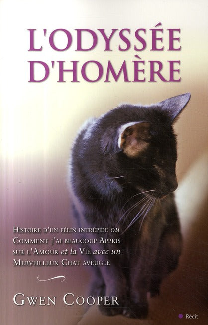 L'odyssée d'Homère