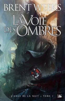 L'ange de la nuit Tome 1 : la voie des ombres