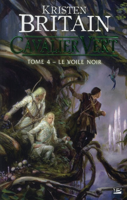 Cavalier vert Tome 4 : le voile noir