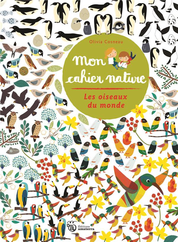 Les oiseaux du monde - flash vidéo