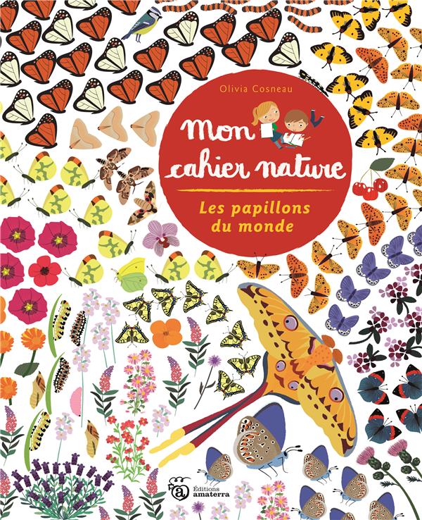 Les papillons du monde - flash vidéo