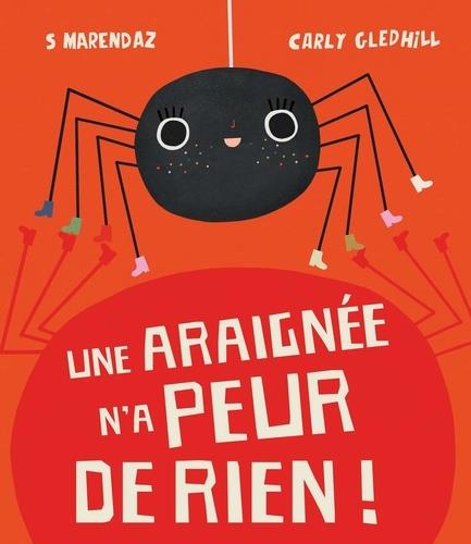 Une araignée n'a peur de rien ! - flash vidéo
