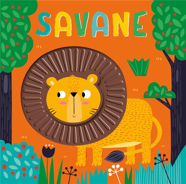 Savane - flash vidéo