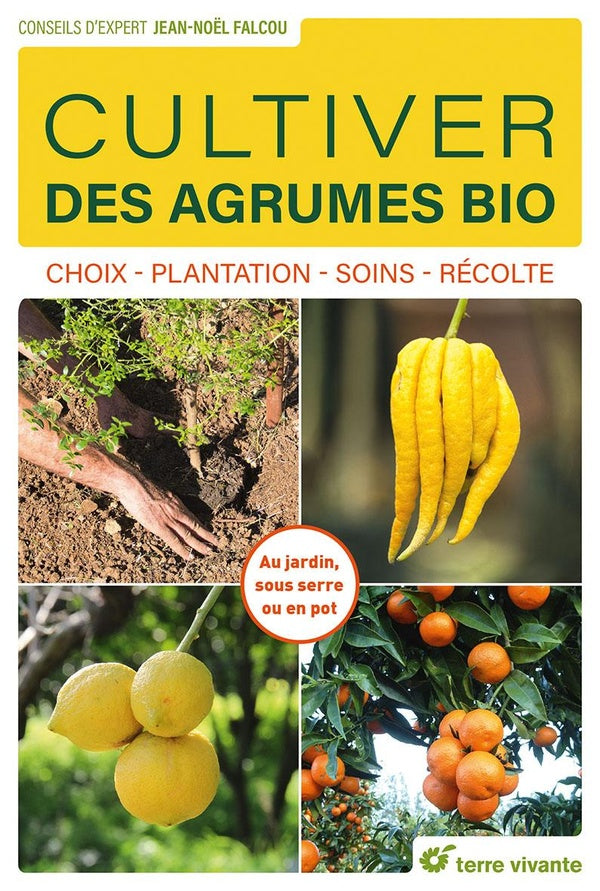 Cultiver des agrumes bio : choix - plantation - soins - récolte