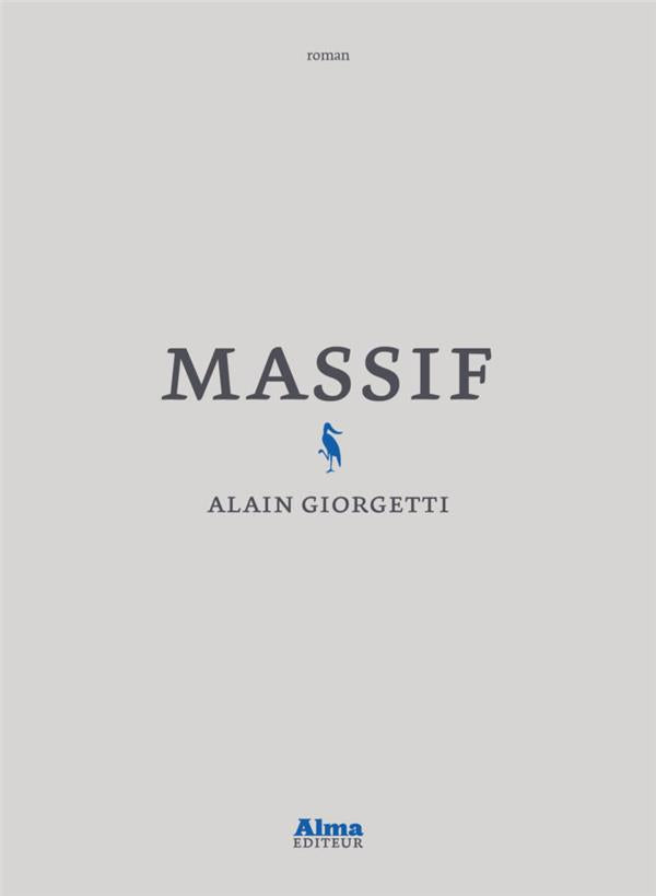 Massif - flash vidéo