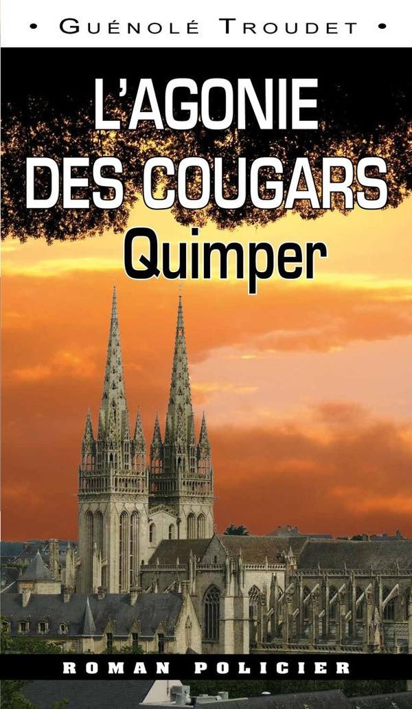 L'agonie des cougars ; Quimper