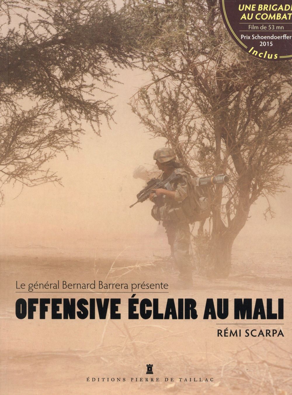 Offensive éclair au Mali