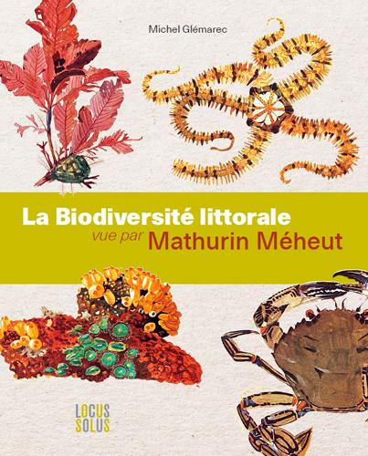 La biodiversité littorale vue par Mathurin Méheut