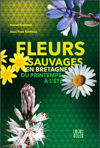 Fleurs sauvages en Bretagne : du printemps à l'été - flash vidéo