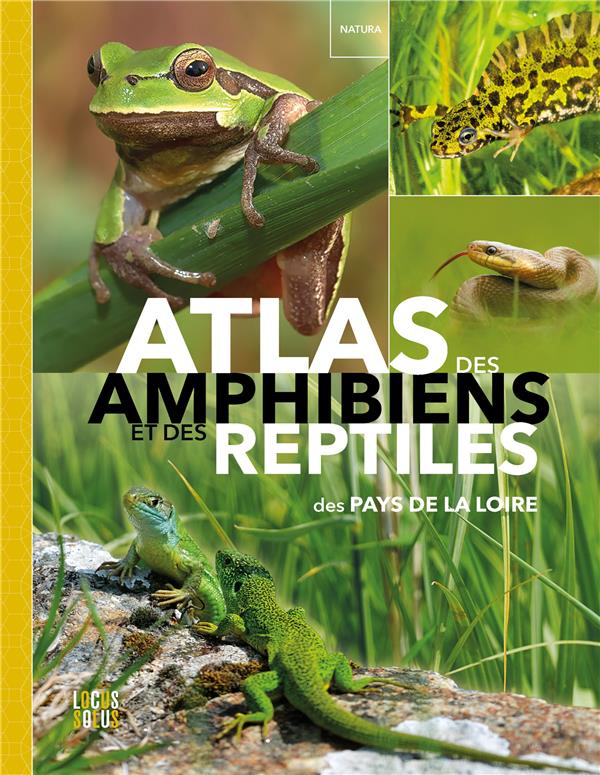 Atlas des amphibiens et reptiles - flash vidéo