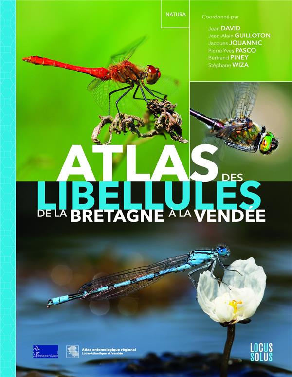 Atlas des libellules de la Bretagne à la Vendée - flash vidéo
