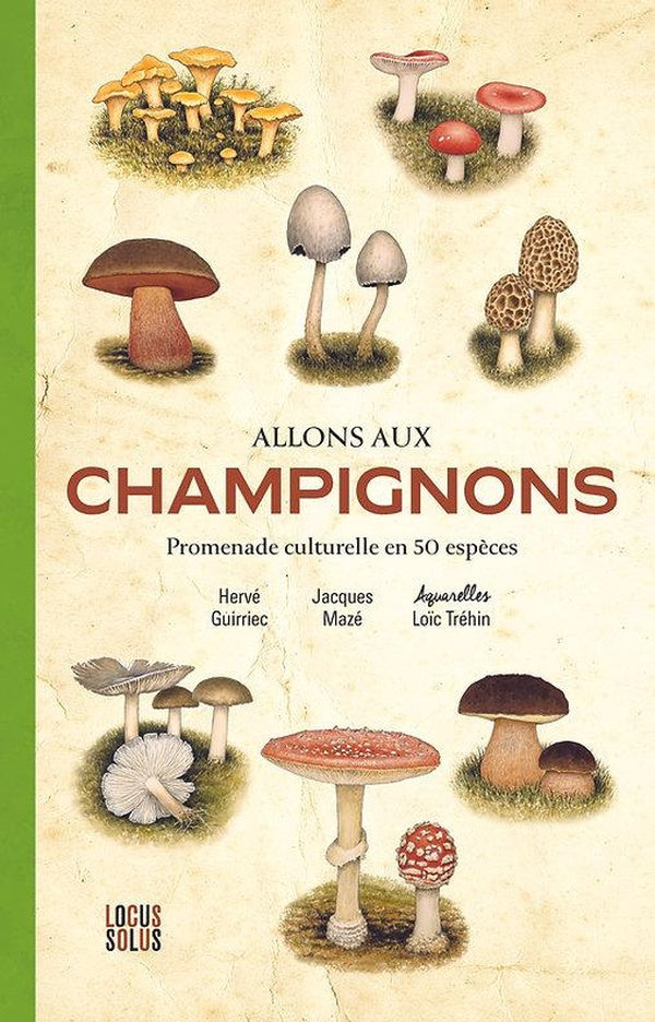 Allons aux champignons : Promenade culturelle en 50 espèces - flash vidéo