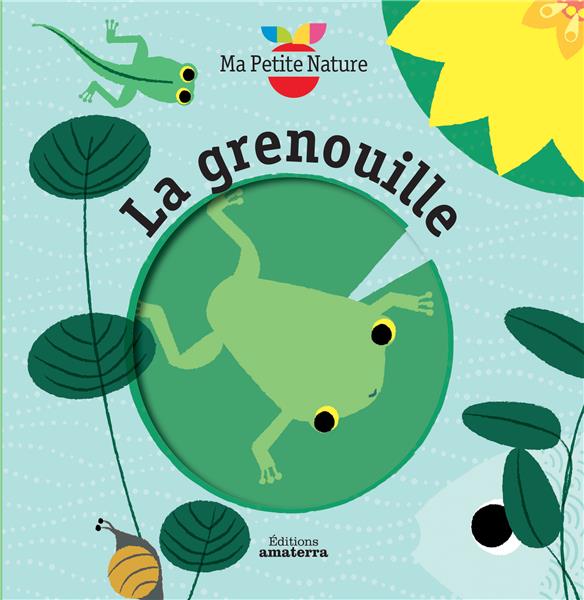 La grenouille - flash vidéo