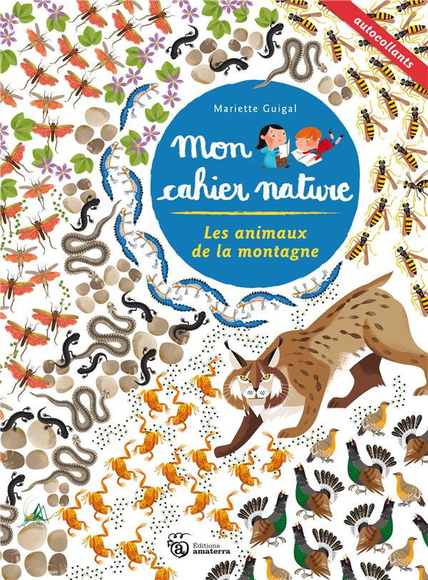 Les animaux de la montagne - flash vidéo