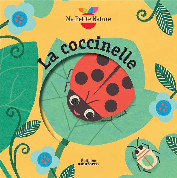 La coccinelle - flash vidéo