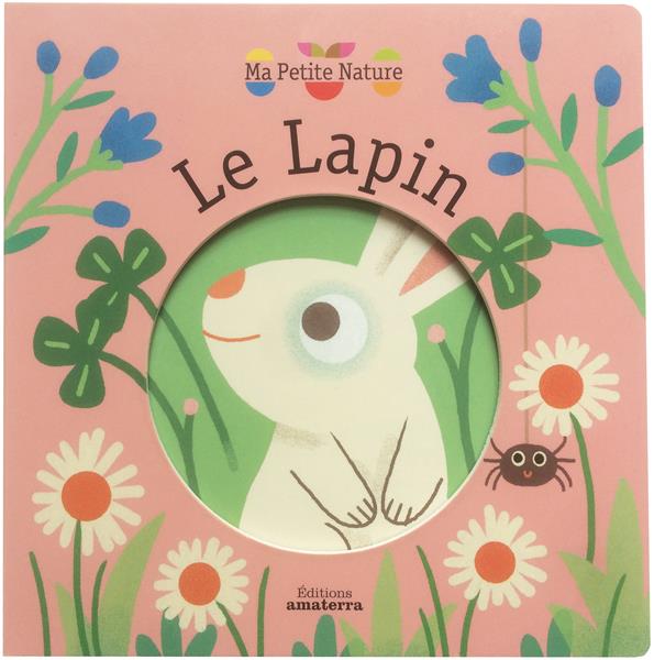 Le lapin - flash vidéo