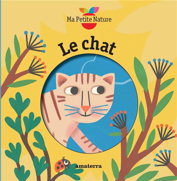 Le chat - flash vidéo