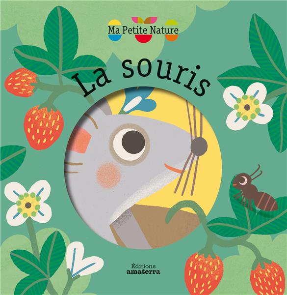 La souris - flash vidéo