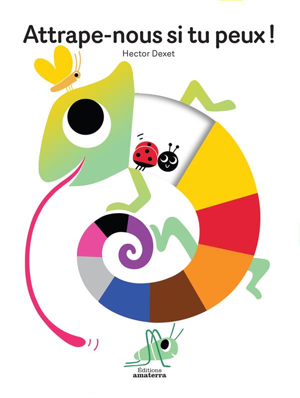 Attrape-nous si tu peux ! - flash vidéo