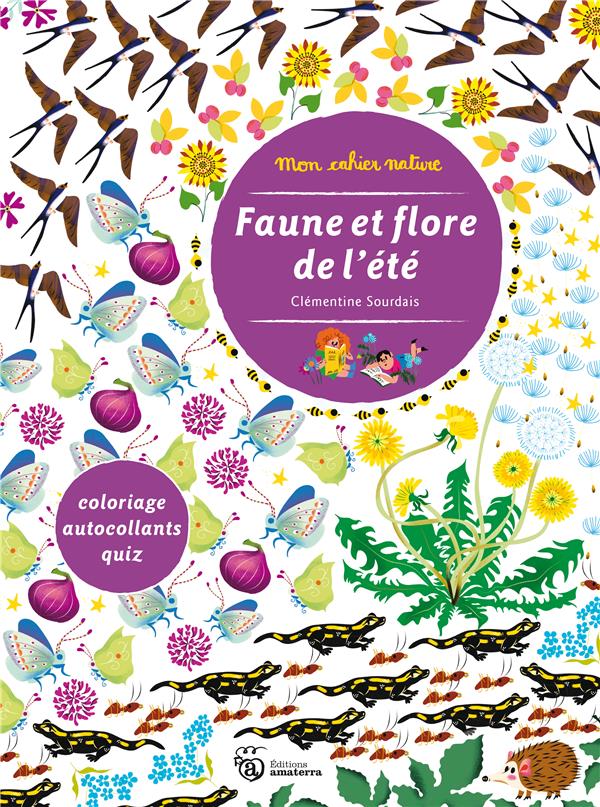 Faune et flore de l'été - flash vidéo