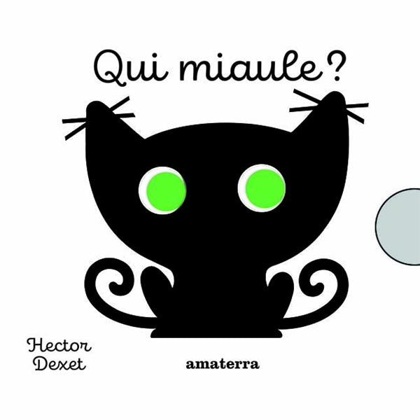 Qui miaule ? - flash vidéo